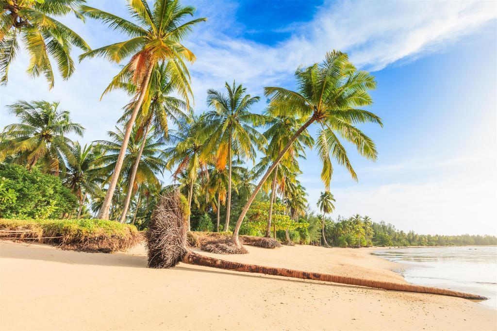 Water Palm Resort Talat Yai Экстерьер фото